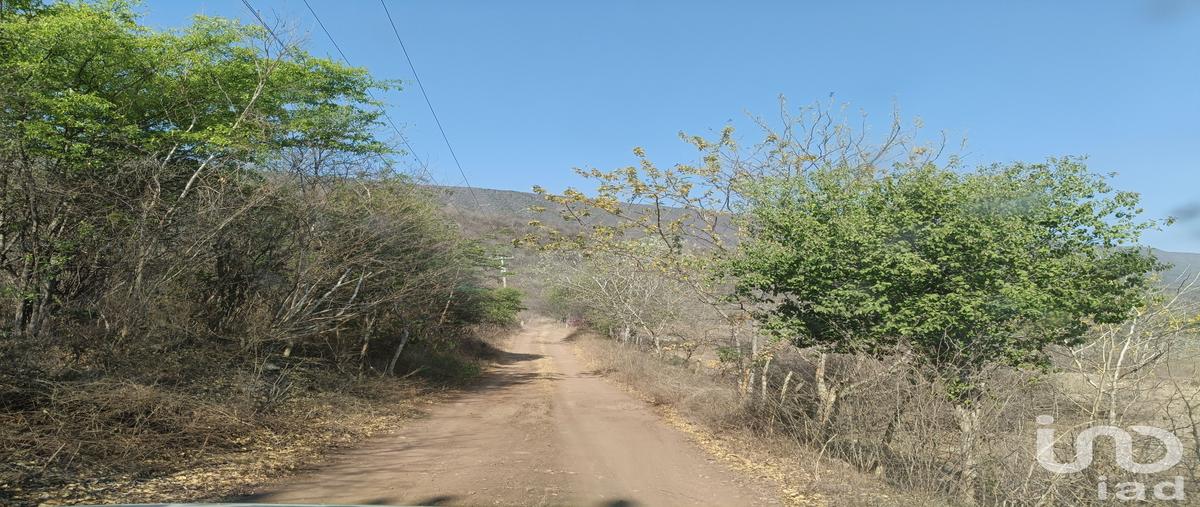 Foto de terreno industrial en venta en carretera colima-los asmoles kilometro 18.4, coordenadas georeferenciadas: norte 19Â648.90 oeste 103Â4716.40 , los asmoles, colima, colima, 31485704 No. 04