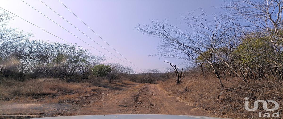 Foto de terreno industrial en venta en carretera colima-los asmoles kilometro 18.4, coordenadas georeferenciadas: norte 19Â648.90 oeste 103Â4716.40 , los asmoles, colima, colima, 31485704 No. 05