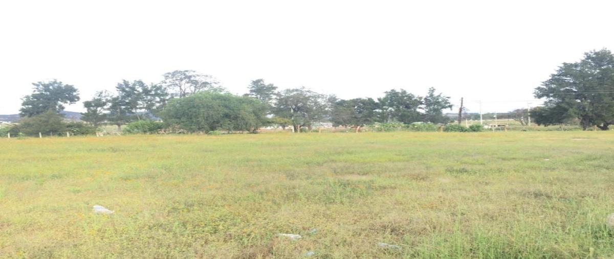 Foto de terreno habitacional en carretera colotlan , ejido copalita, zapopan, jalisco, 0 foto 02 Foto de terreno habitacional en renta en carretera colotlan , ejido copalita, zapopan, jalisco, 0 No. 02
