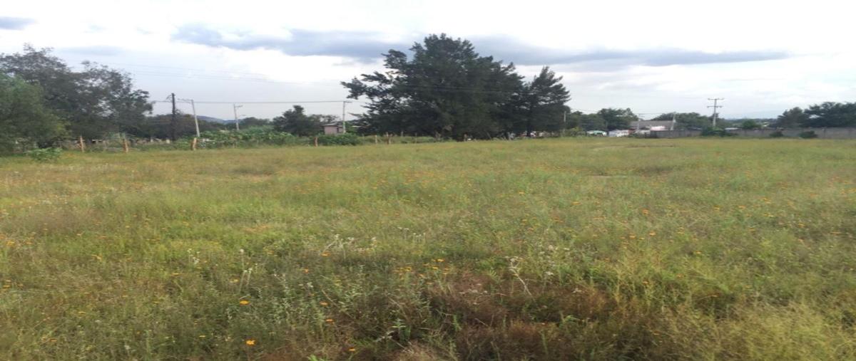 Foto de terreno habitacional en carretera colotlan , ejido copalita, zapopan, jalisco, 0 foto 03 Foto de terreno habitacional en renta en carretera colotlan , ejido copalita, zapopan, jalisco, 0 No. 03