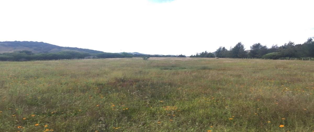 Foto de terreno habitacional en carretera colotlan , ejido copalita, zapopan, jalisco, 0 foto 05 Foto de terreno habitacional en renta en carretera colotlan , ejido copalita, zapopan, jalisco, 0 No. 05