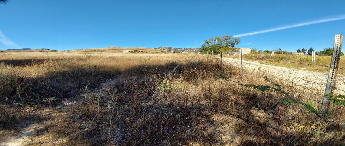 Foto de terreno comercial en venta en carretera colotlan , el quemado, zapopan, jalisco, 0 No. 03