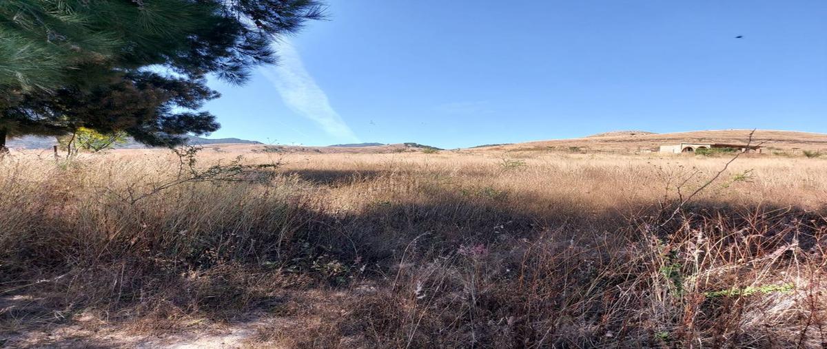 Foto de terreno comercial en venta en carretera colotlan , el quemado, zapopan, jalisco, 0 No. 04