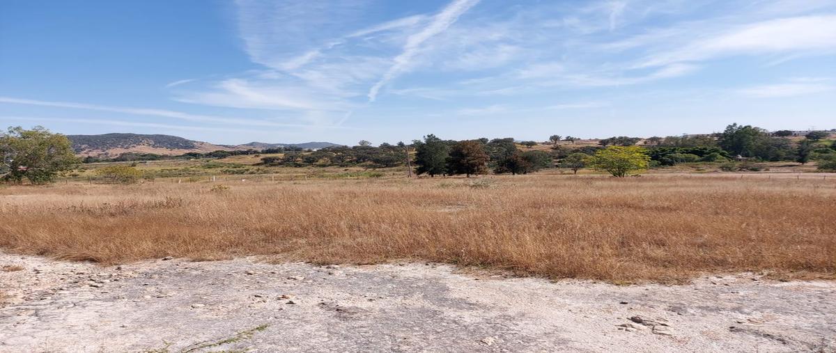 Foto de terreno comercial en venta en carretera colotlan , el quemado, zapopan, jalisco, 0 No. 05