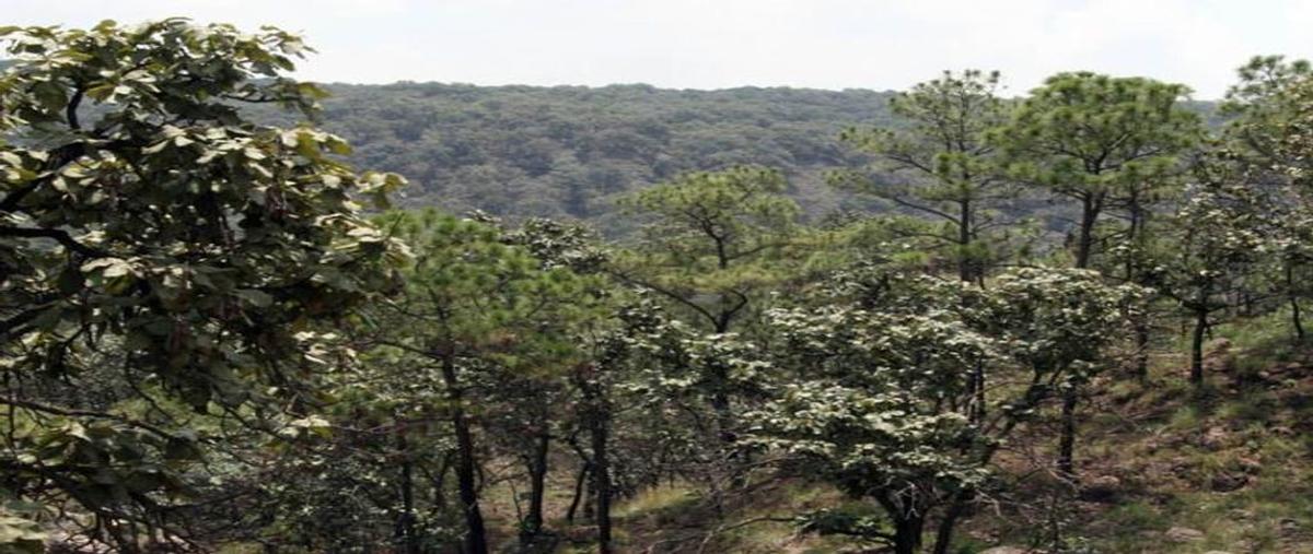 Foto de terreno habitacional en venta en carretera colotlan , hacienda san antonio del valle, zapopan, jalisco, 0 No. 04