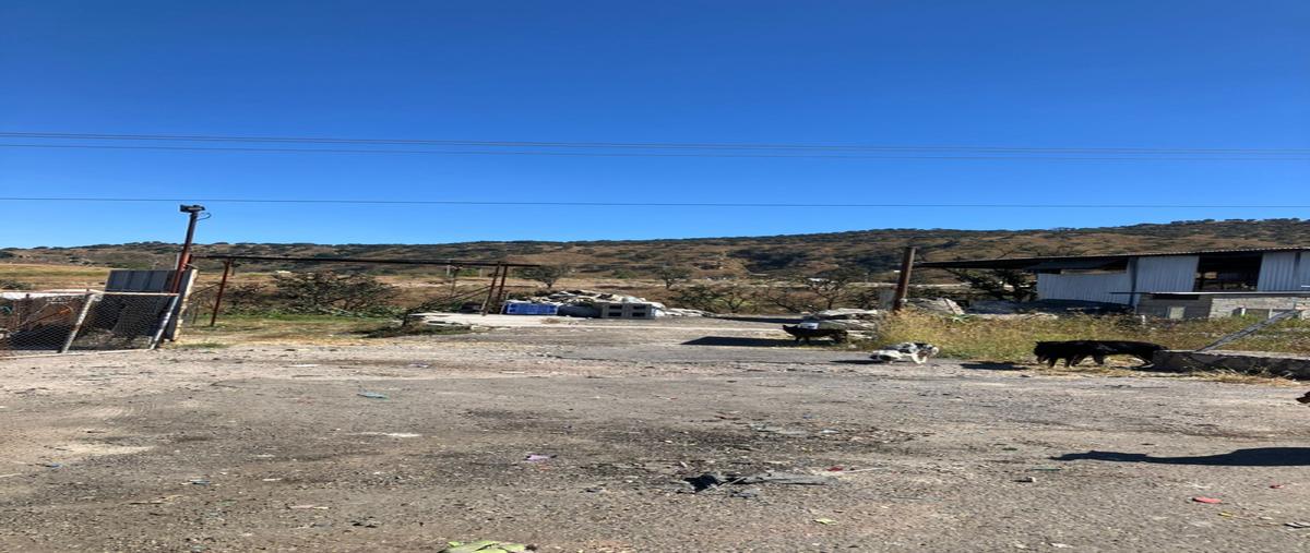 Foto de bodega en renta en carretera colotlán kilómetro , valle de los molinos, zapopan, jalisco, 30578380 No. 04