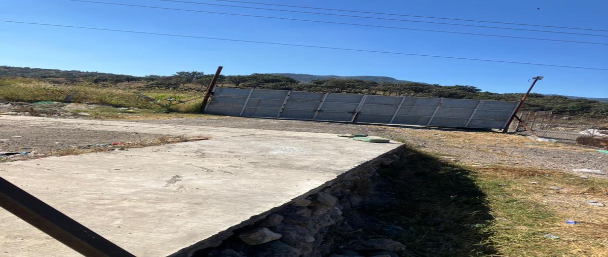 Foto de bodega en renta en carretera colotlán kilómetro , valle de los molinos, zapopan, jalisco, 30578380 No. 05