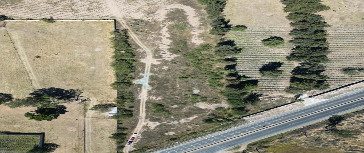 Foto de terreno industrial en renta en carretera colotlan y kilometro 7 , vista zapopan, zapopan, jalisco, 27647024 No. 03