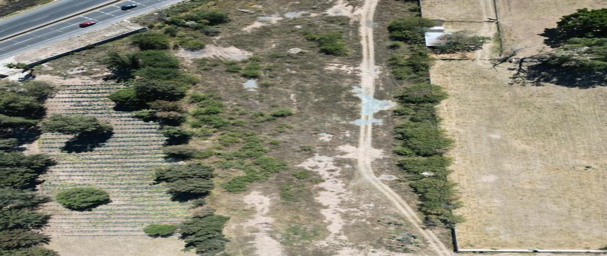 Foto de terreno industrial en renta en carretera colotlan y kilometro 7 , vista zapopan, zapopan, jalisco, 27647024 No. 05