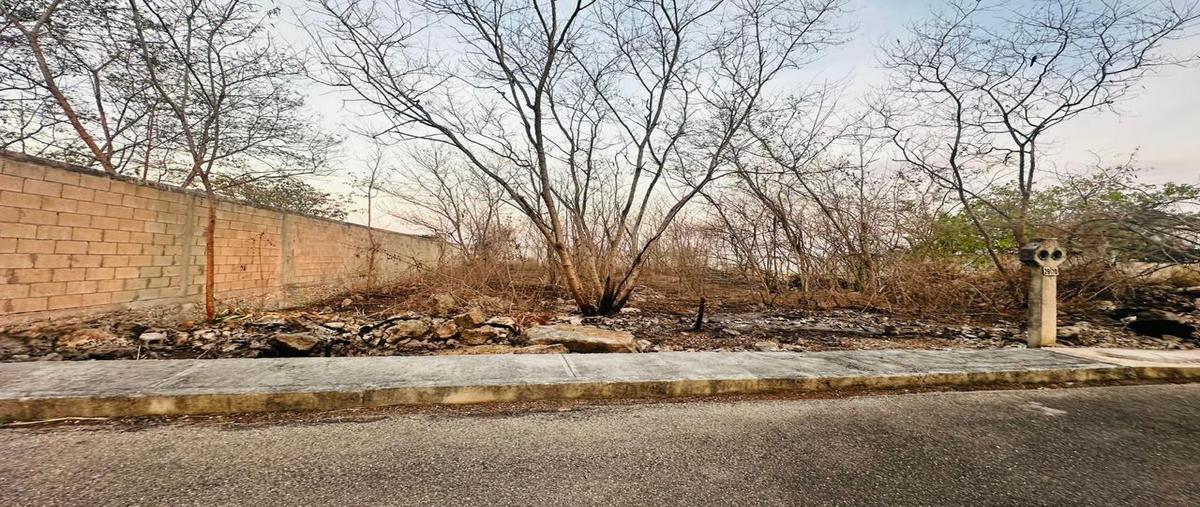 Foto de terreno habitacional en venta en carretera conkal-yaxkulul , conkal, conkal, yucatán, 31608937 No. 05