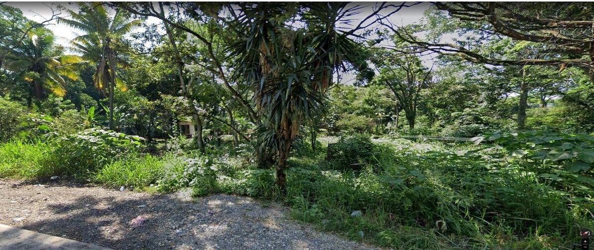 Foto de terreno comercial en carretera córdoba-paso del macho , san rafael rio seco, amatlán de los reyes, veracruz de ignacio de la llave, 28178210 foto 02 Foto de terreno comercial en venta en carretera córdoba-paso del macho , san rafael rio seco, amatlán de los reyes, veracruz de ignacio de la llave, 28178210 No. 02