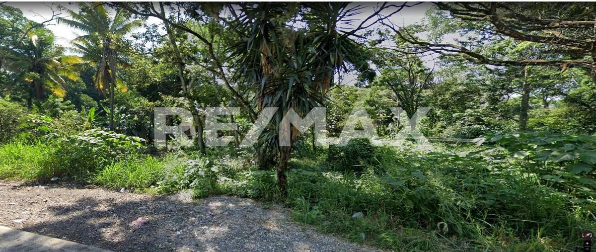 Foto de terreno comercial en carretera córdoba-paso del macho , san rafael rio seco, amatlán de los reyes, veracruz de ignacio de la llave, 0 foto 02 Foto de terreno comercial en venta en carretera córdoba-paso del macho , san rafael rio seco, amatlán de los reyes, veracruz de ignacio de la llave, 0 No. 02