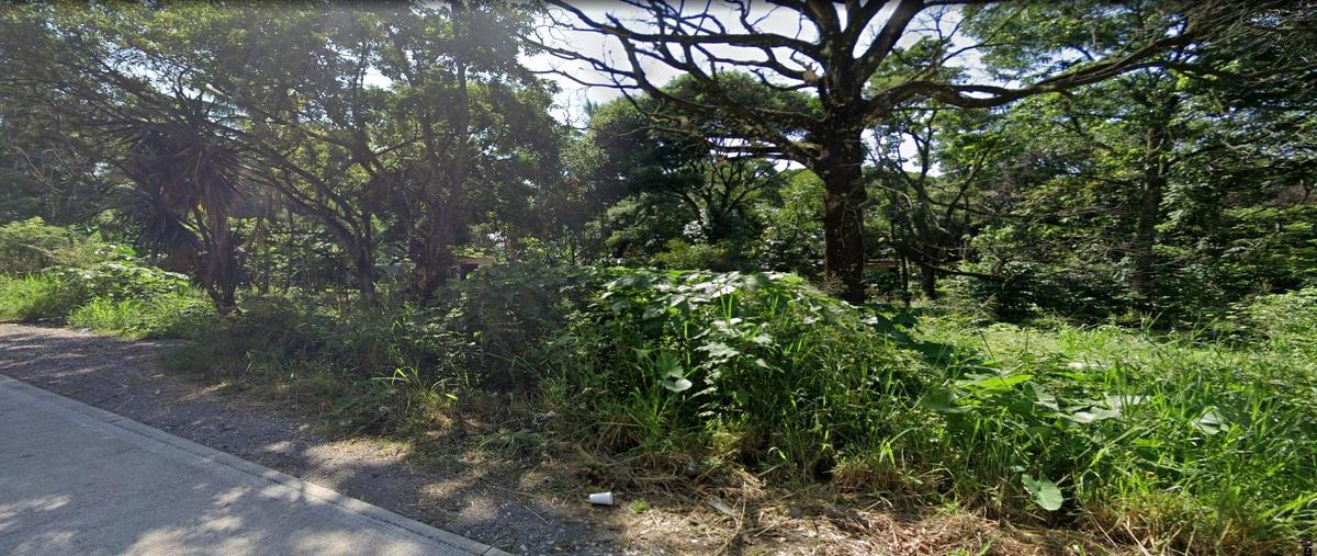 Foto de terreno comercial en carretera córdoba-paso del macho , san rafael rio seco, amatlán de los reyes, veracruz de ignacio de la llave, 28178210 foto 05 Foto de terreno comercial en venta en carretera córdoba-paso del macho , san rafael rio seco, amatlán de los reyes, veracruz de ignacio de la llave, 28178210 No. 05