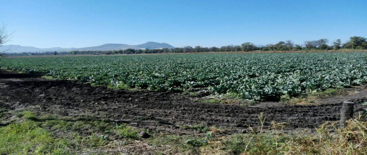 Foto de rancho en venta en carretera cortazar salvatierra , el progreso, salvatierra, guanajuato, 0 No. 01