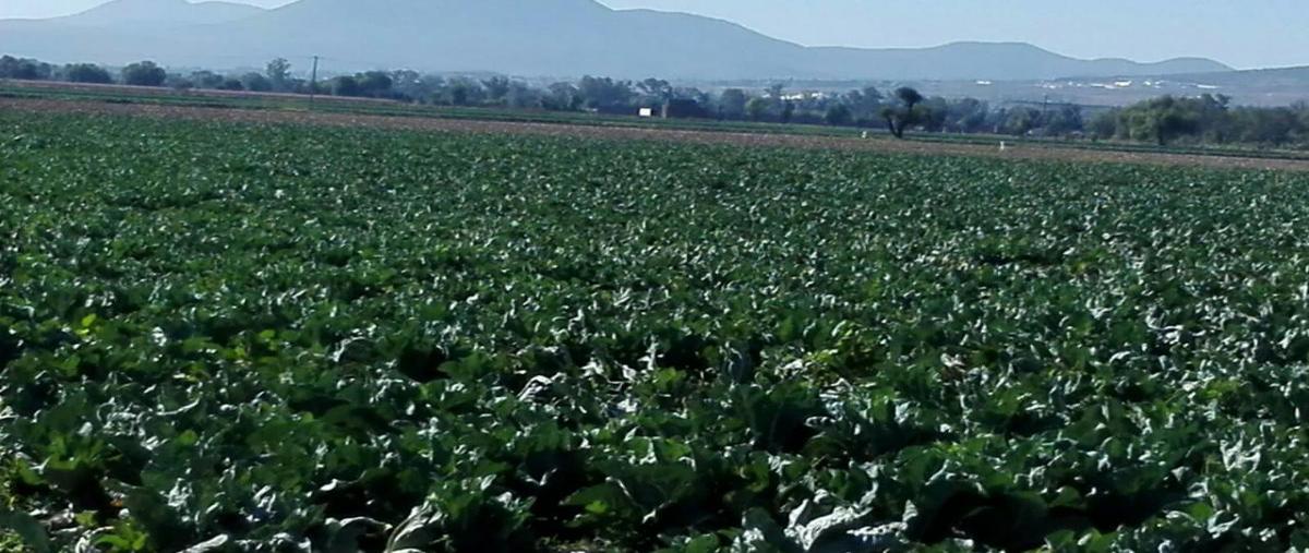 Foto de rancho en venta en carretera cortazar salvatierra , el progreso, salvatierra, guanajuato, 16102754 No. 03