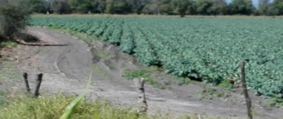 Foto de rancho en venta en carretera cortazar salvatierra , el progreso, salvatierra, guanajuato, 16102754 No. 04