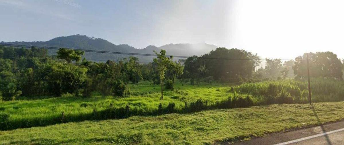 Foto de terreno habitacional en venta en carretera coster 200 , barrio chalaca, villa comaltitlán, chiapas, 27046958 No. 04