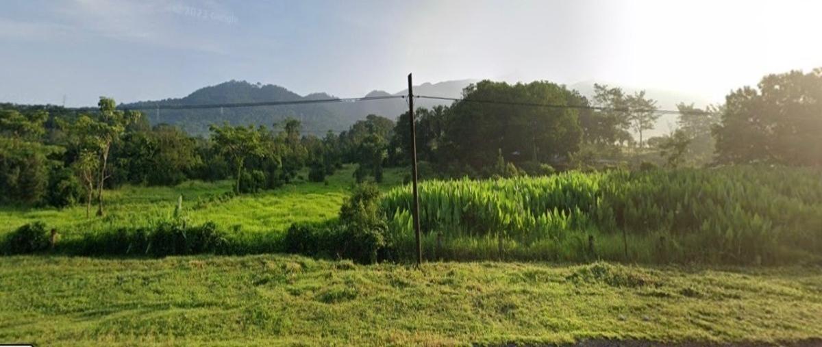 Foto de terreno habitacional en venta en carretera coster 200 , barrio chalaca, villa comaltitlán, chiapas, 27046958 No. 05