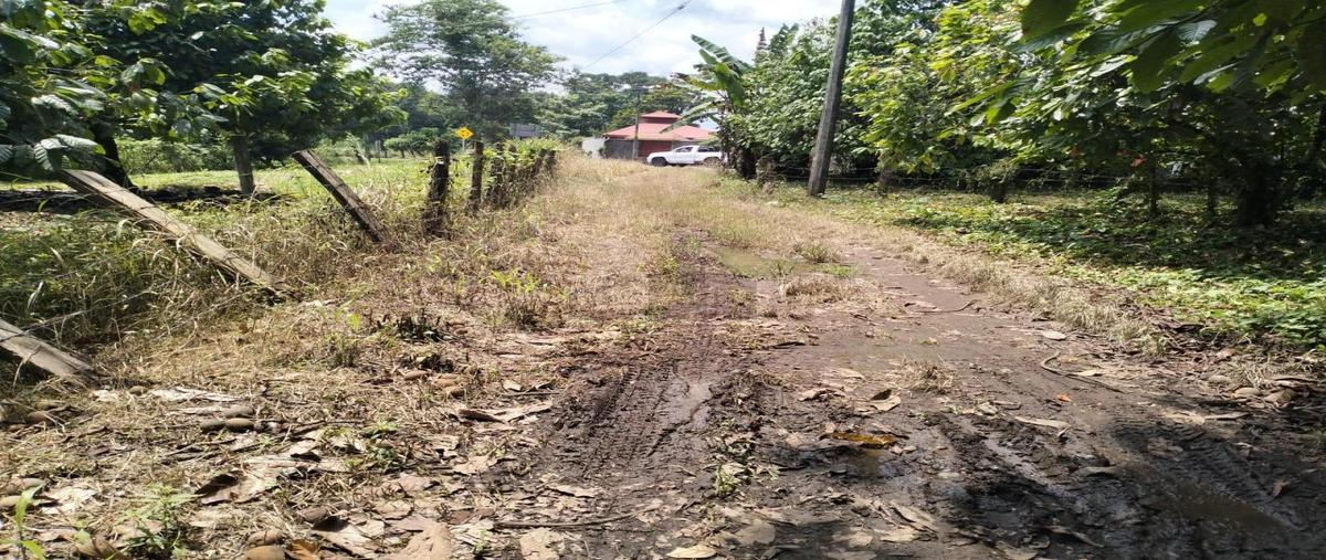 Foto de terreno industrial en carretera costera 10, talismán, tuxtla chico, chiapas, 26842340 foto 05 Foto de terreno industrial en venta en carretera costera 10, talismán, tuxtla chico, chiapas, 26842340 No. 05