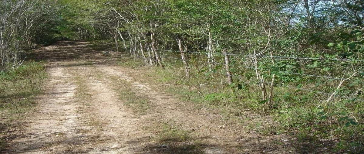 Foto de terreno habitacional en venta en carretera costera del golfo (carretera libre 180) , sudzal, sudzal, yucatán, 28201674 No. 04