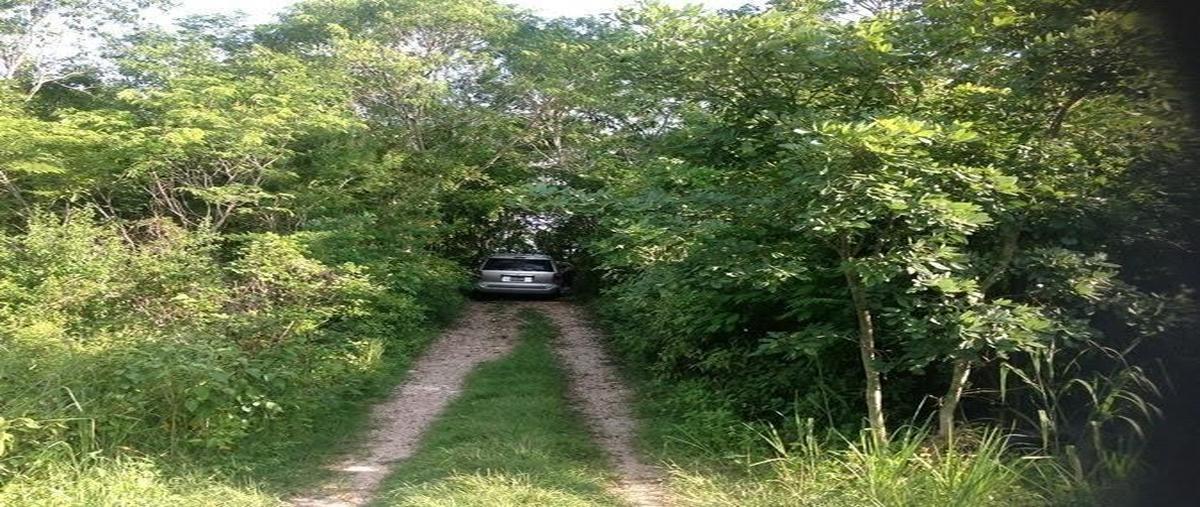 Foto de terreno habitacional en venta en carretera costera del golfo (carretera libre 180) , sudzal, sudzal, yucatán, 28201674 No. 05