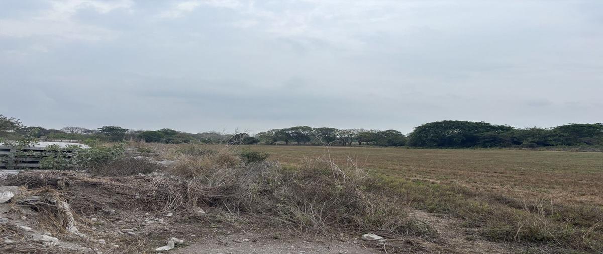 Foto de terreno habitacional en venta en carretera costera del golfo , medellin de bravo, medellín de bravo, veracruz de ignacio de la llave, 0 No. 03
