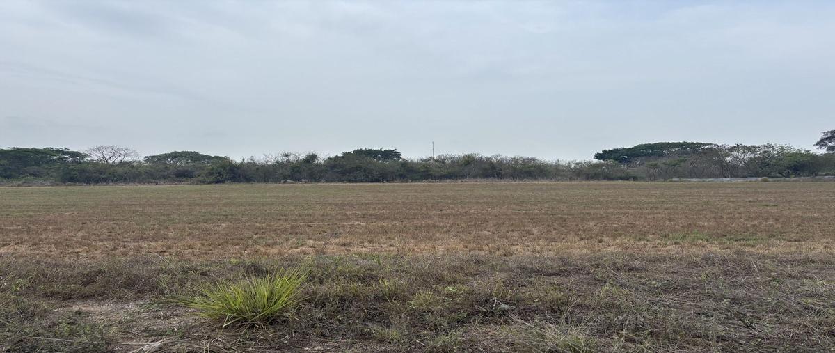 Foto de terreno habitacional en venta en carretera costera del golfo , medellin de bravo, medellín de bravo, veracruz de ignacio de la llave, 0 No. 04