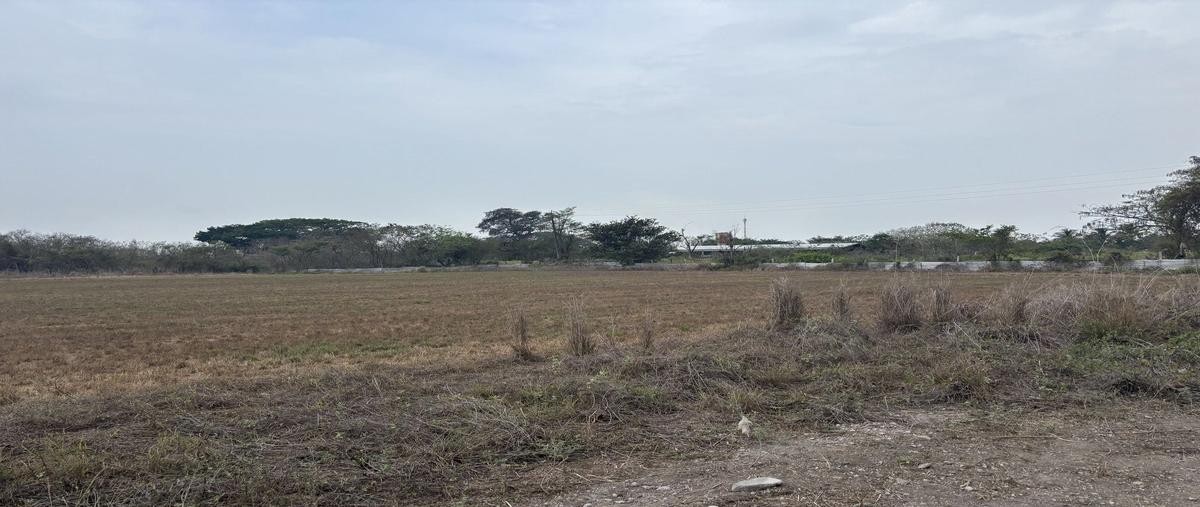 Foto de terreno habitacional en venta en carretera costera del golfo , medellin de bravo, medellín de bravo, veracruz de ignacio de la llave, 0 No. 05