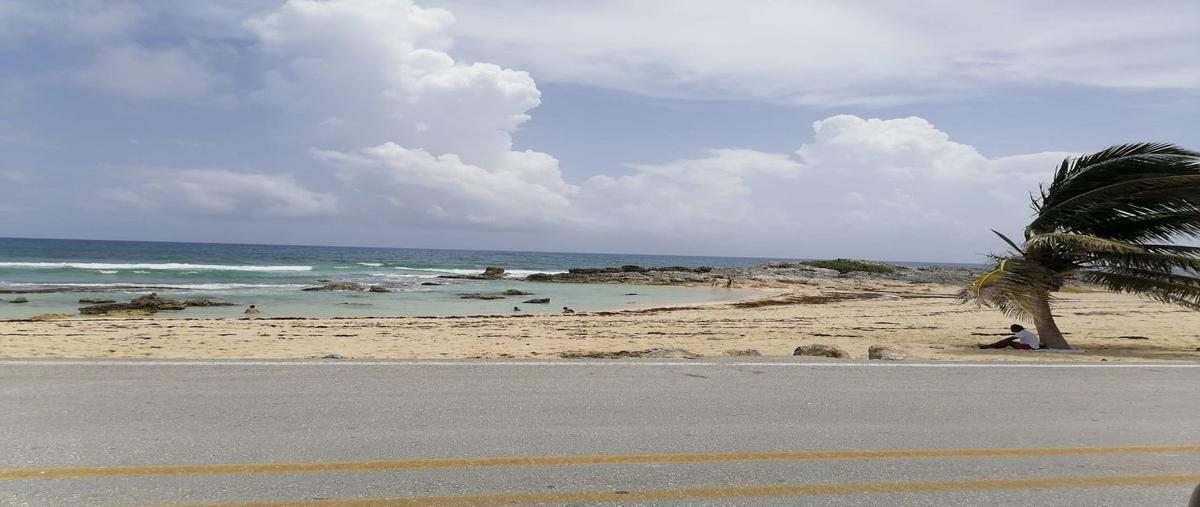 Foto de terreno habitacional en venta en carretera costera oriental , cozumel centro, cozumel, quintana roo, 25317686 No. 03