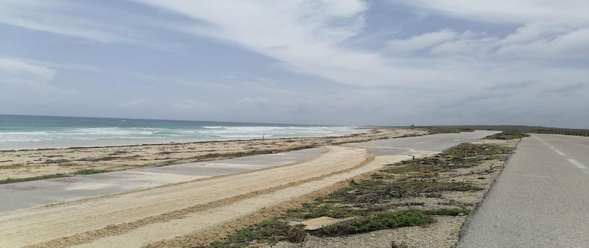 Foto de terreno habitacional en venta en carretera costera oriental , cozumel centro, cozumel, quintana roo, 25317686 No. 04