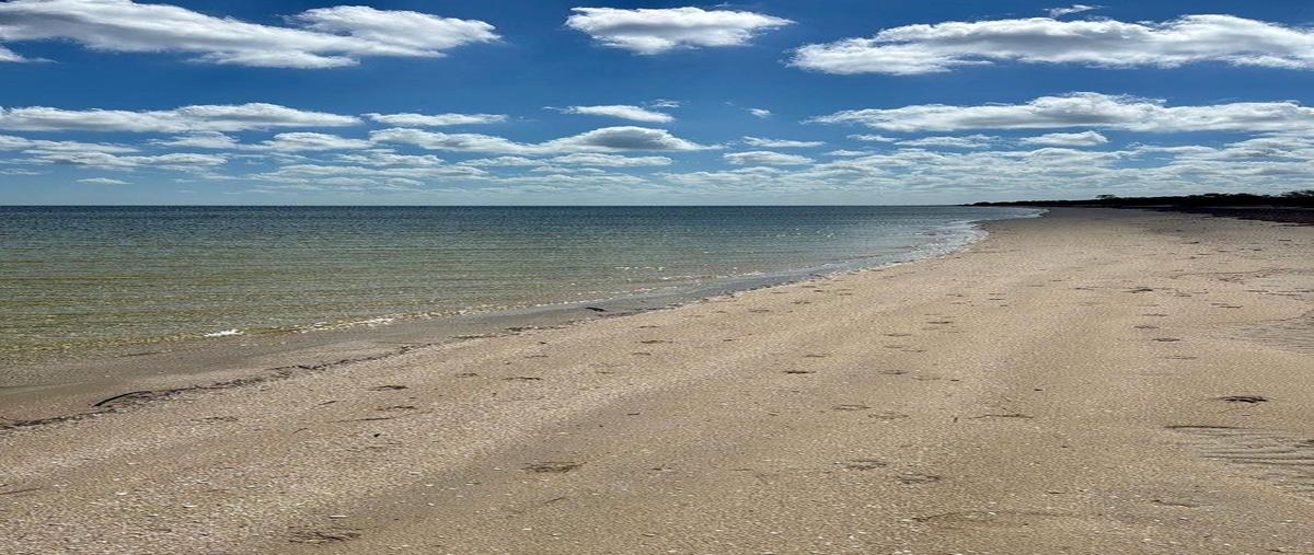 Foto de terreno habitacional en venta en carretera costera , santa clara, dzidzantún, yucatán, 30985308 No. 03