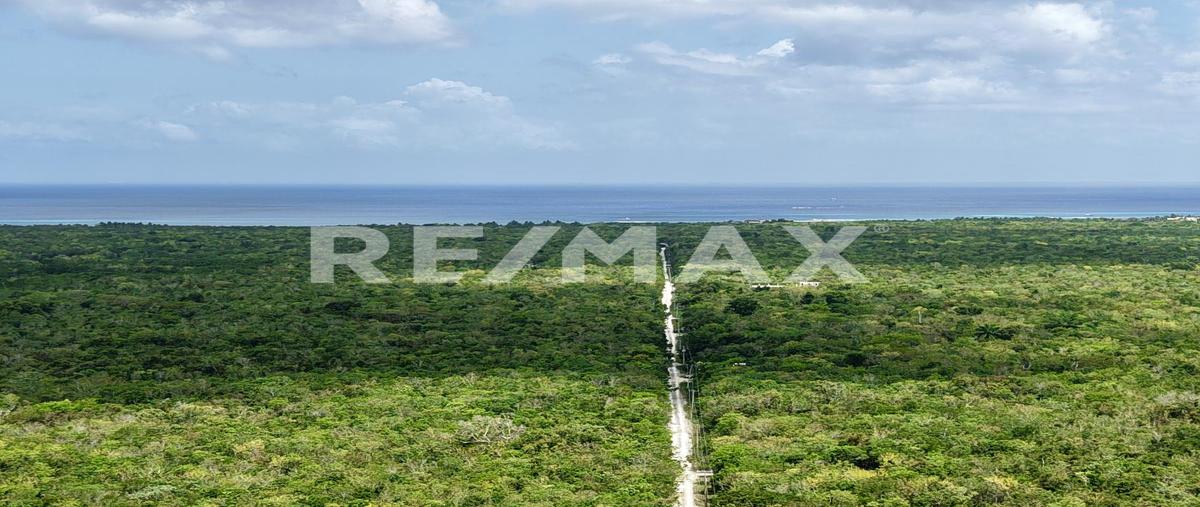 Foto de terreno habitacional en venta en carretera costera sur kilometro 15 , zona hotelera sur, cozumel, quintana roo, 31482637 No. 03