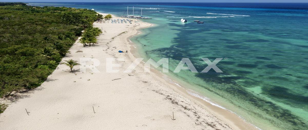 Foto de terreno habitacional en venta en carretera costera sur kilometro 15 , zona hotelera sur, cozumel, quintana roo, 31482637 No. 04