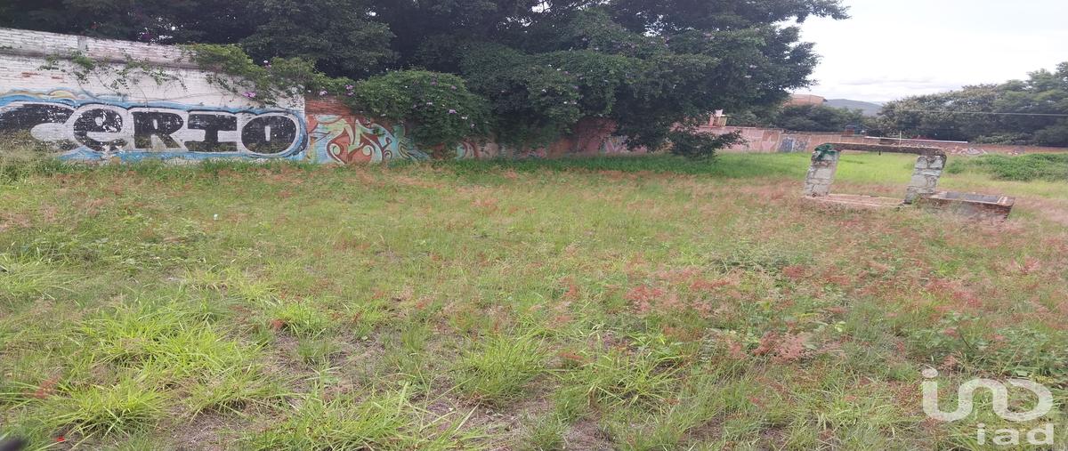 Foto de terreno comercial en venta en carretera cristobal colón 500, santa rosa panzacola, oaxaca de juárez, oaxaca, 0 No. 03