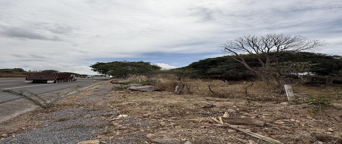 Foto de terreno habitacional en venta en carretera , cuauhtémoc, cuauhtémoc, colima, 0 No. 04