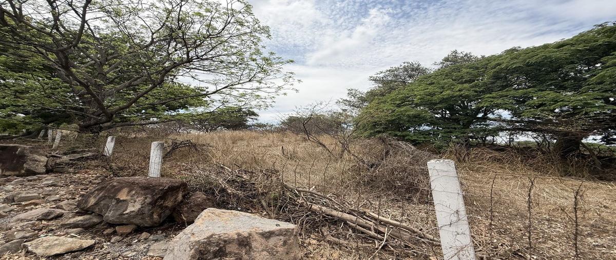 Foto de terreno habitacional en venta en carretera , cuauhtémoc, cuauhtémoc, colima, 0 No. 05