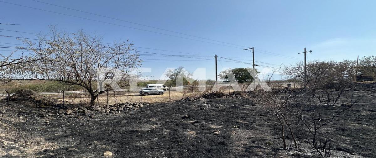 Foto de terreno comercial en venta en carretera cuernavaca-taxco , el naranjo, puente de ixtla, morelos, 0 No. 03