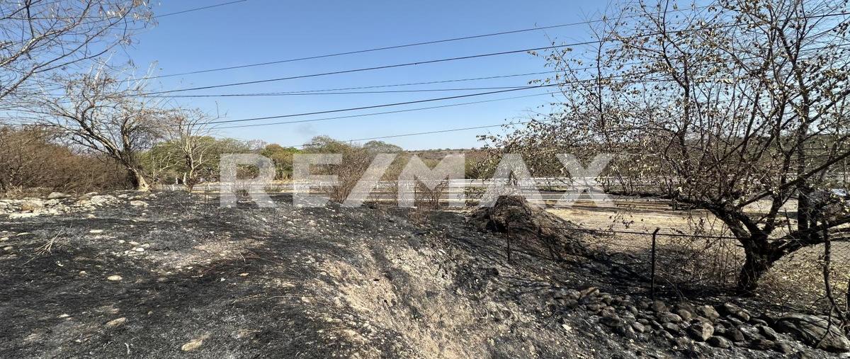 Foto de terreno comercial en venta en carretera cuernavaca-taxco , el naranjo, puente de ixtla, morelos, 0 No. 04