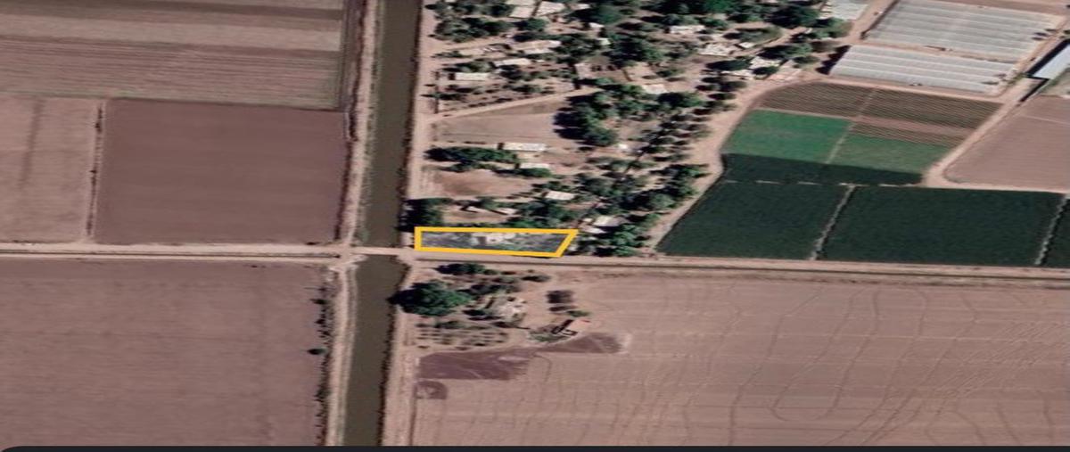 Foto de rancho en venta en carretera culiacancito , culiacancito, culiacán, sinaloa, 24585311 No. 03