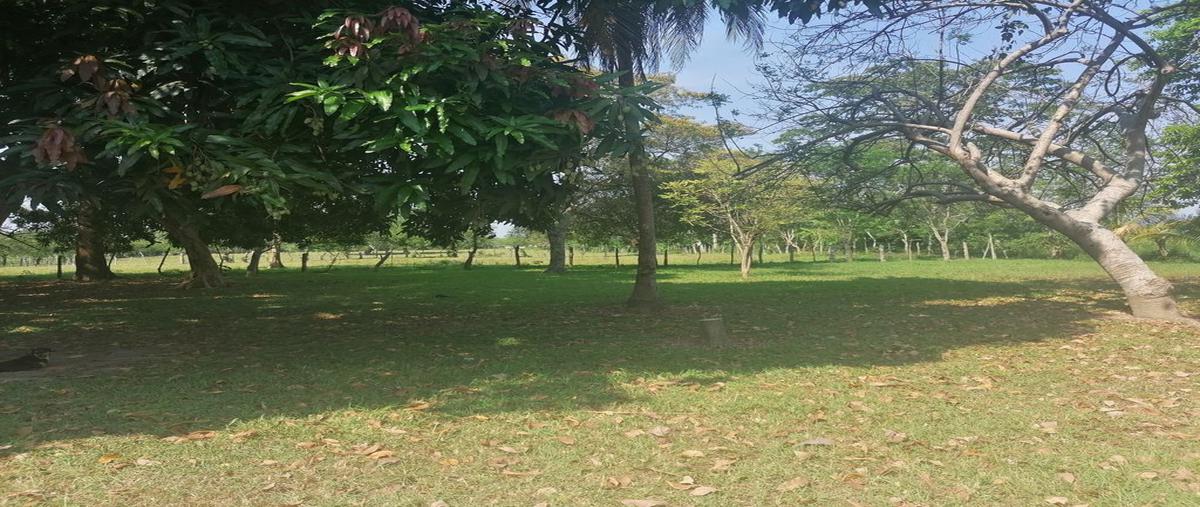 Foto de terreno comercial en venta en carretera cunduacan-juarez, chis , corregidora ortiz 2a secc, centro, tabasco, 24329050 No. 04