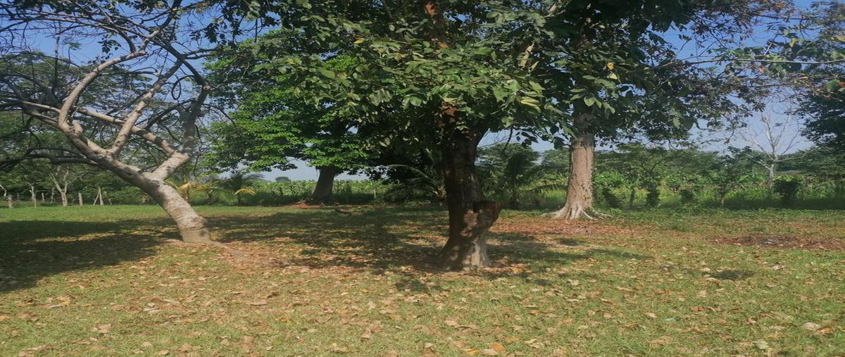 Foto de terreno comercial en venta en carretera cunduacan-juarez, chis , corregidora ortiz 2a secc, centro, tabasco, 25422637 No. 05