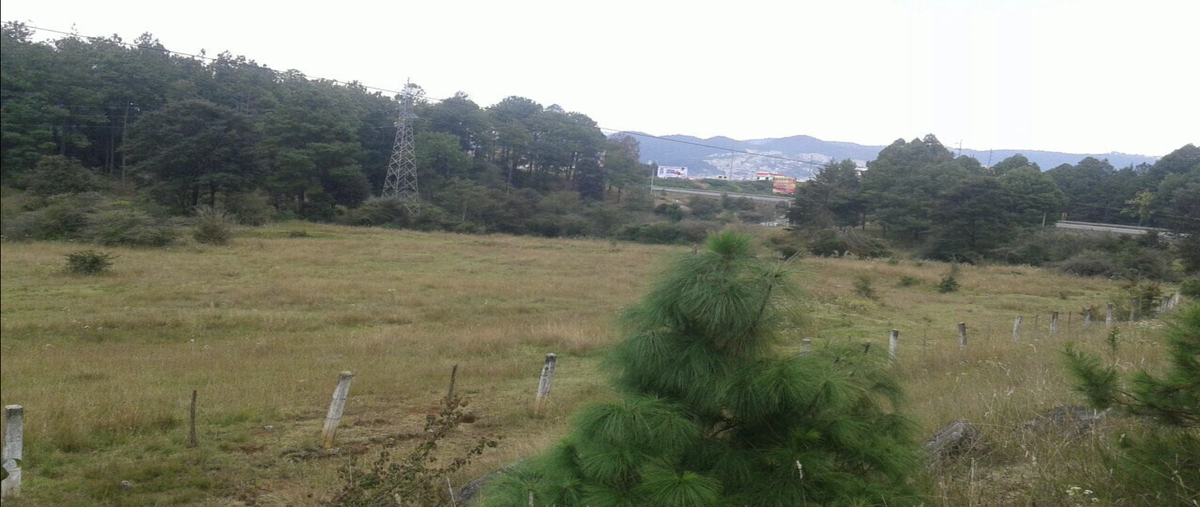 Foto de terreno habitacional en venta en carretera de cuota numero 190-d , explanada del carmen, san cristóbal de las casas, chiapas, 27018515 No. 05