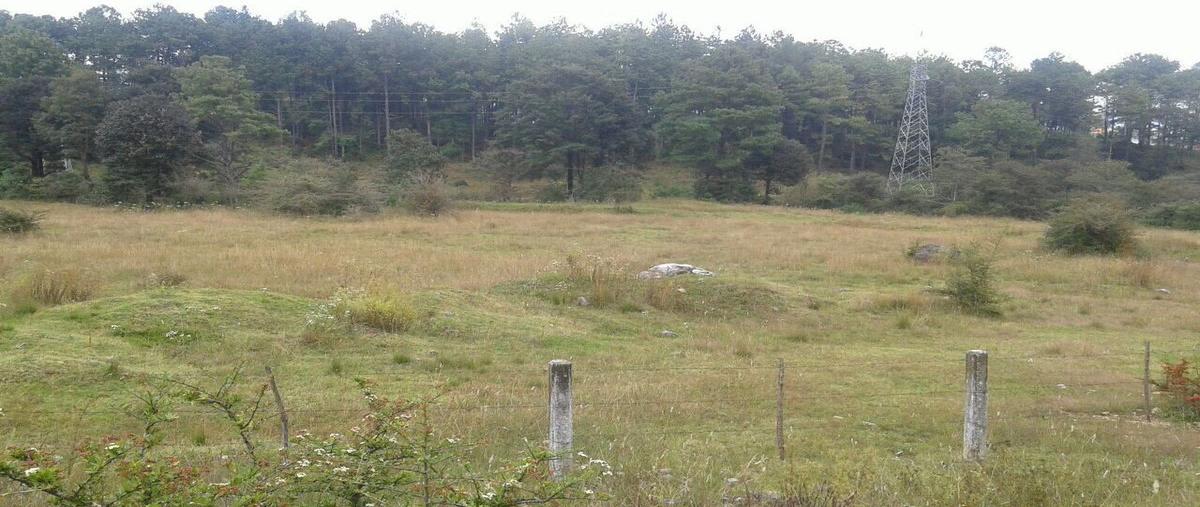 Foto de terreno comercial en venta en carretera de cuota tuxtla - san cristóbal kilometro 43 , fátima, san cristóbal de las casas, chiapas, 27407628 No. 03