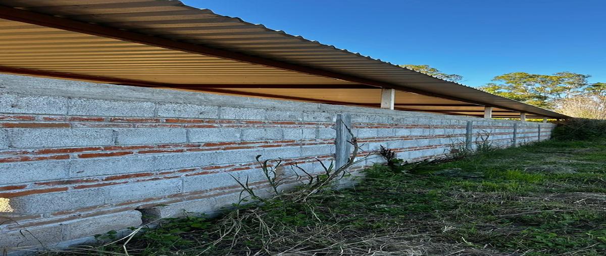 Foto de rancho en carretera de la griega a el lobo kilometro 4.5, el lobo, el márqués, qro. , el lobo, el marqués, querétaro, 0 foto 04 Foto de rancho en venta en carretera de la griega a el lobo kilometro 4.5, el lobo, el márqués, qro. , el lobo, el marqués, querétaro, 0 No. 04