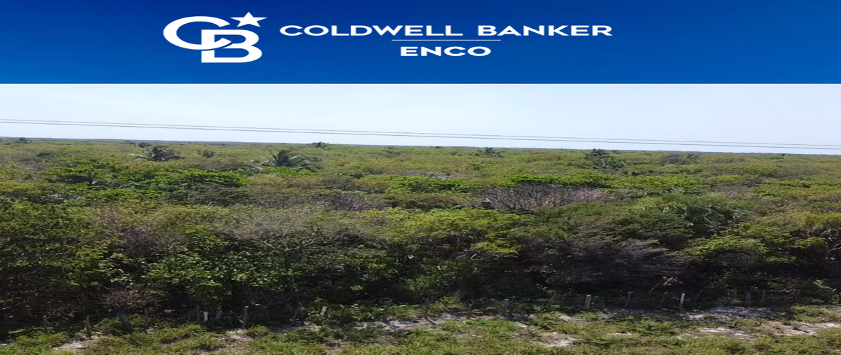 Foto de terreno habitacional en carretera del gofo km15 1, reubicación, carmen, campeche, 26277520 foto 04 Foto de terreno habitacional en venta en carretera del gofo km15 1, reubicación, carmen, campeche, 26277520 No. 04