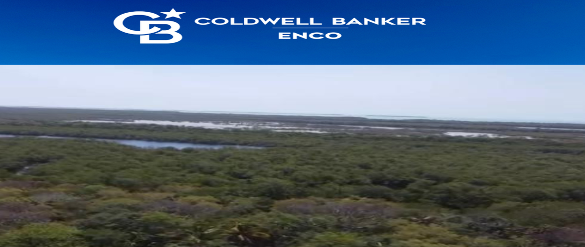 Foto de terreno habitacional en carretera del gofo km15 1, reubicación, carmen, campeche, 26277520 foto 05 Foto de terreno habitacional en venta en carretera del gofo km15 1, reubicación, carmen, campeche, 26277520 No. 05