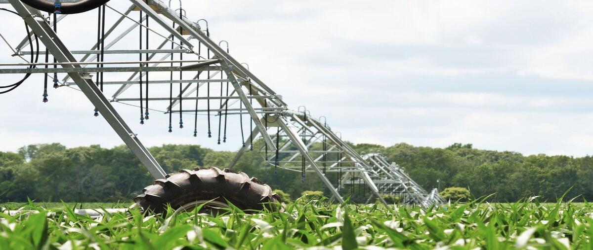 Foto de rancho en carretera dolores san felipe , nuevo guanajuato, guanajuato, guanajuato, 27883788 foto 01 Foto de rancho en venta en carretera dolores san felipe , nuevo guanajuato, guanajuato, guanajuato, 27883788 No. 01