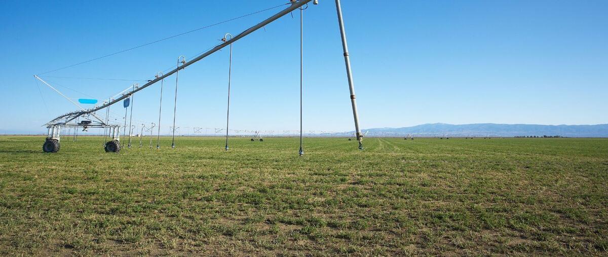 Foto de rancho en carretera dolores san felipe , nuevo guanajuato, guanajuato, guanajuato, 27883788 foto 02 Foto de rancho en venta en carretera dolores san felipe , nuevo guanajuato, guanajuato, guanajuato, 27883788 No. 02