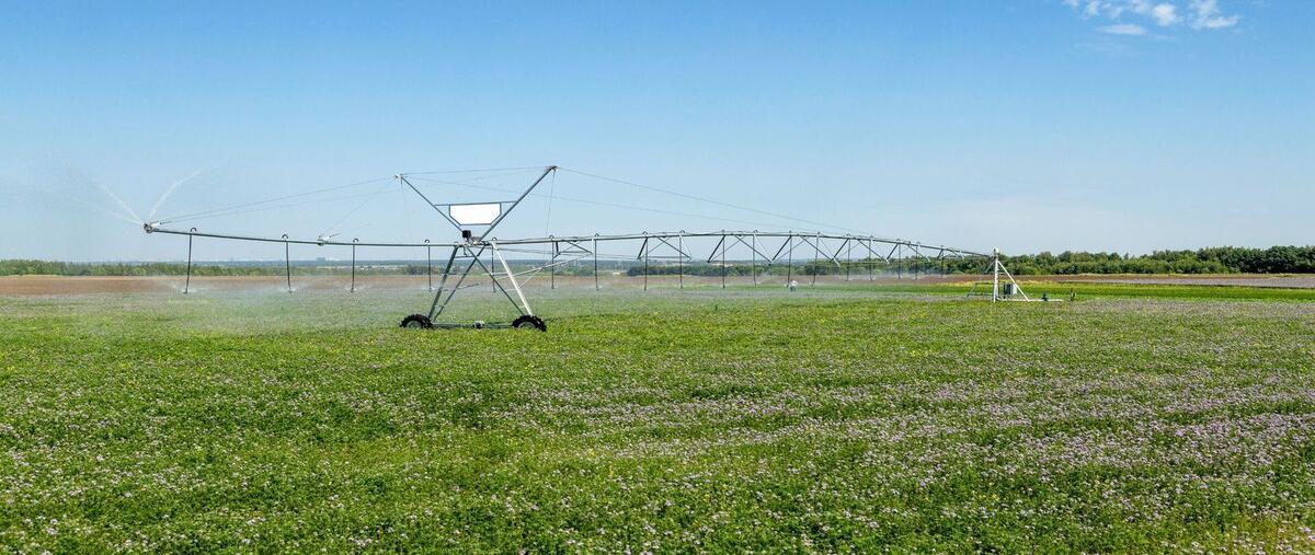 Foto de rancho en carretera dolores san felipe , nuevo guanajuato, guanajuato, guanajuato, 27883788 foto 03 Foto de rancho en venta en carretera dolores san felipe , nuevo guanajuato, guanajuato, guanajuato, 27883788 No. 03