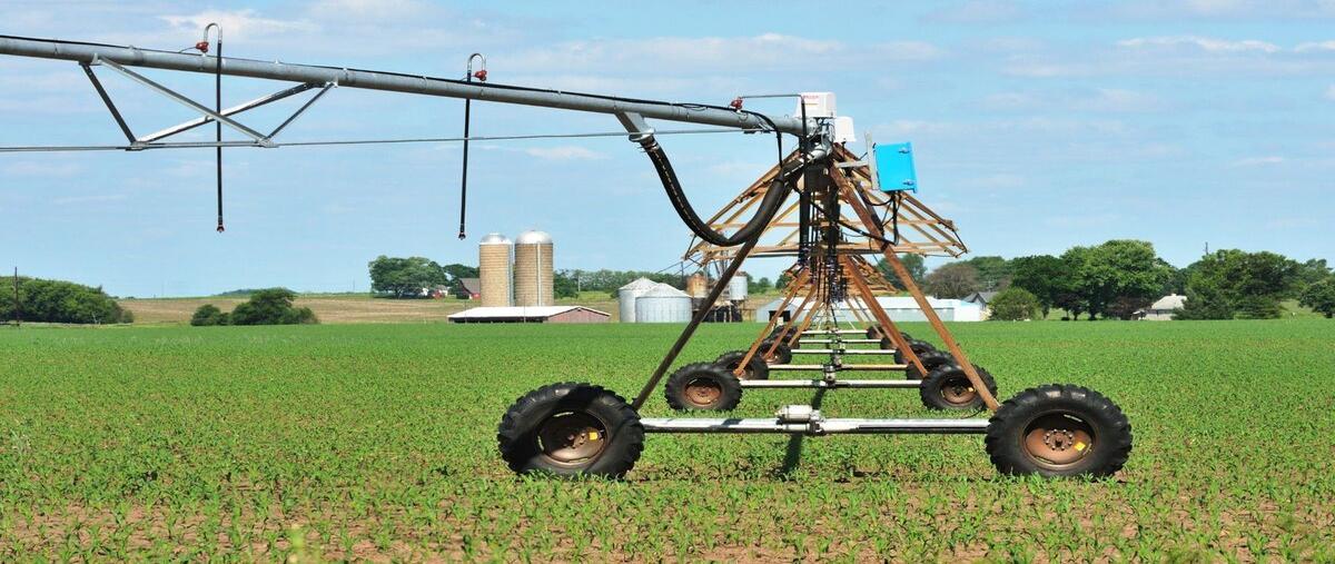 Foto de rancho en carretera dolores san felipe , nuevo guanajuato, guanajuato, guanajuato, 27883788 foto 04 Foto de rancho en venta en carretera dolores san felipe , nuevo guanajuato, guanajuato, guanajuato, 27883788 No. 04